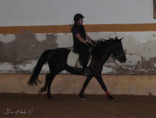  Imparare ad andare a cavallo 